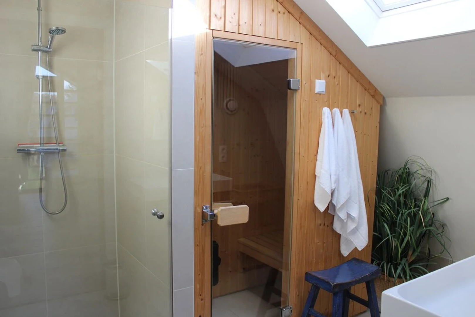 Zeester Egmond nr 15