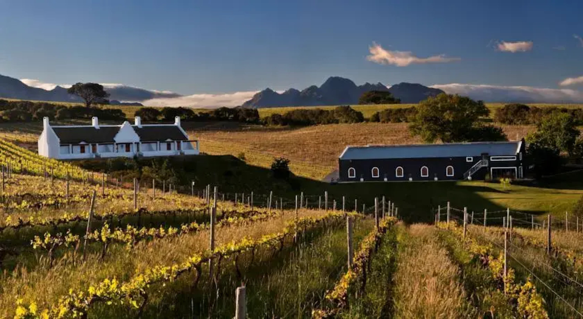 Aaldering Vineyards, Winefarm & Luxury Lodges
