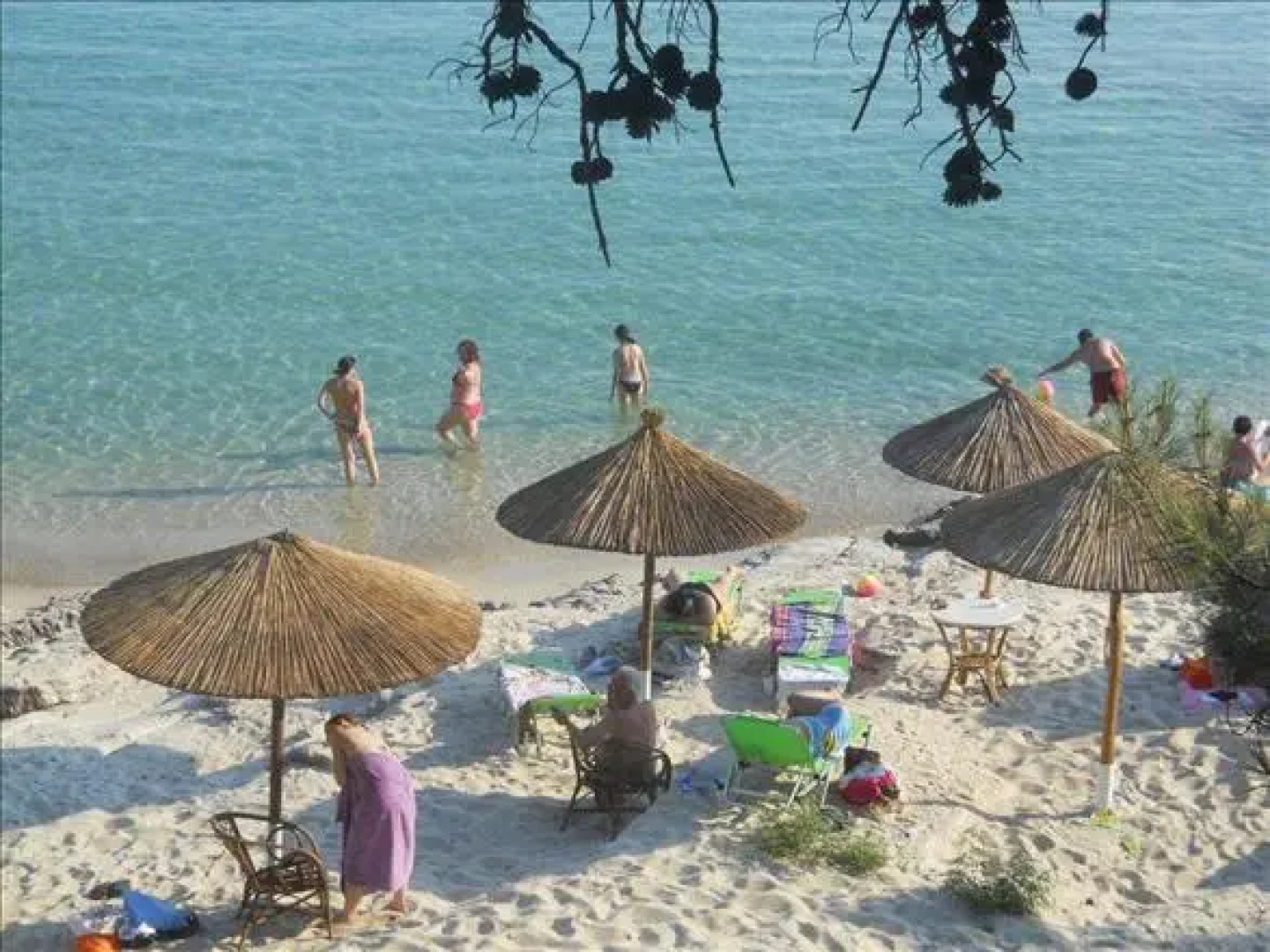 Thassos Grand Villas Apartments &Studios