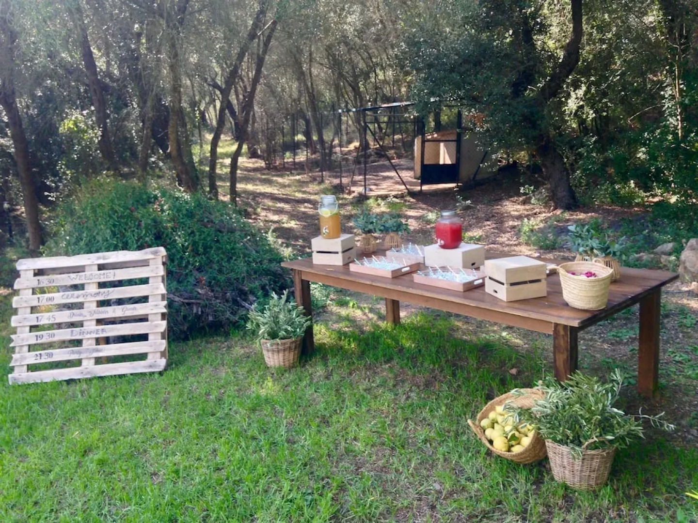 Sa Tafona de Esporles con Pista de Padel