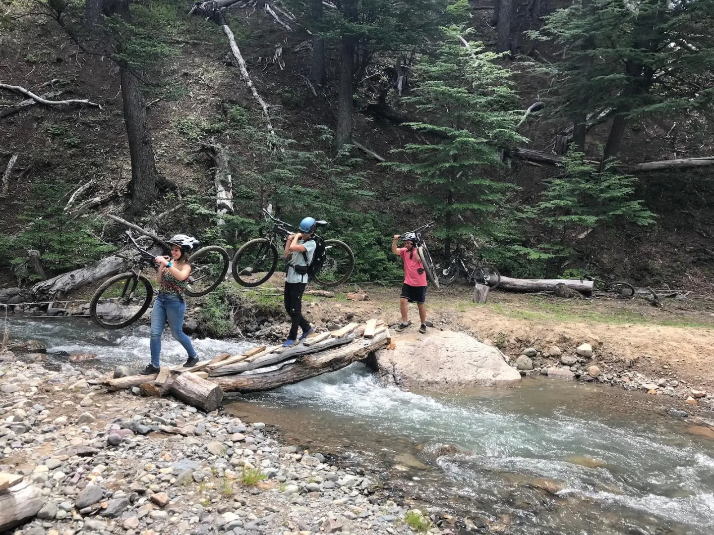 Huemules Reserva de Montana