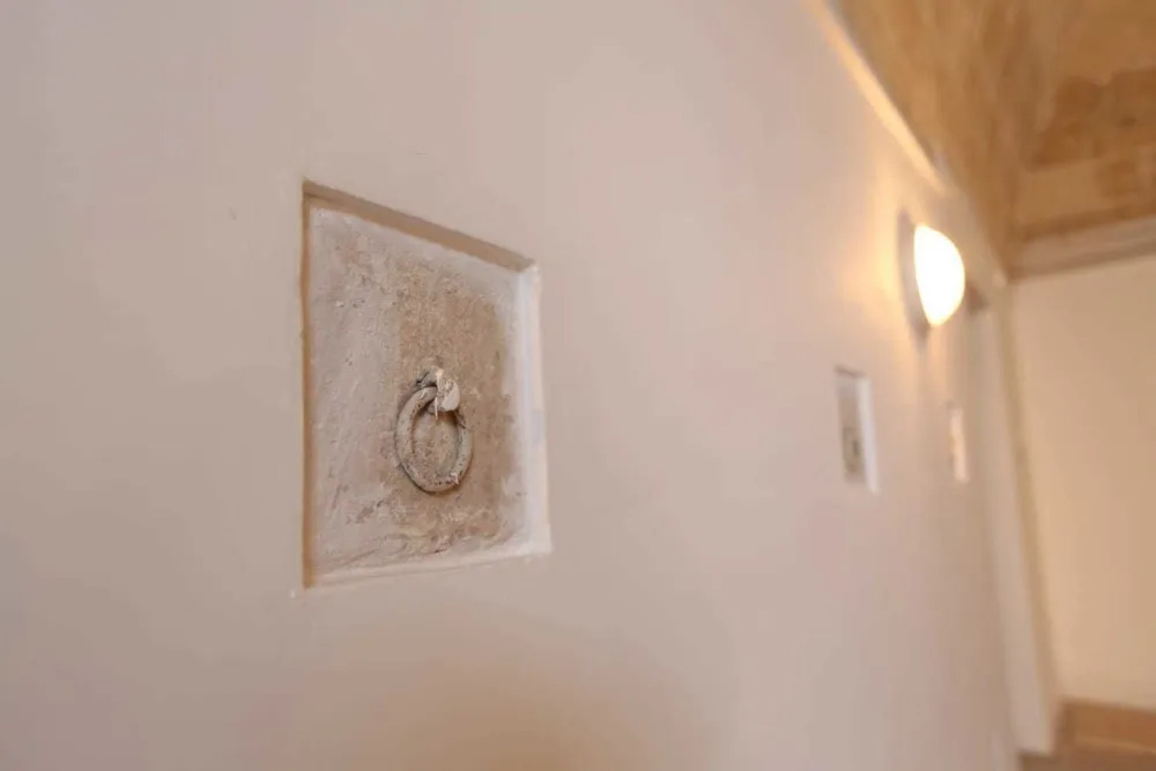 Il Gufo e la Civetta