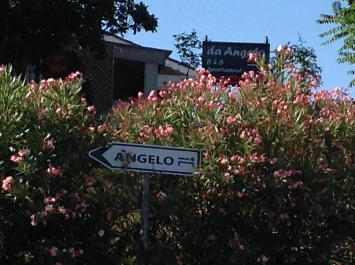 ANGELO