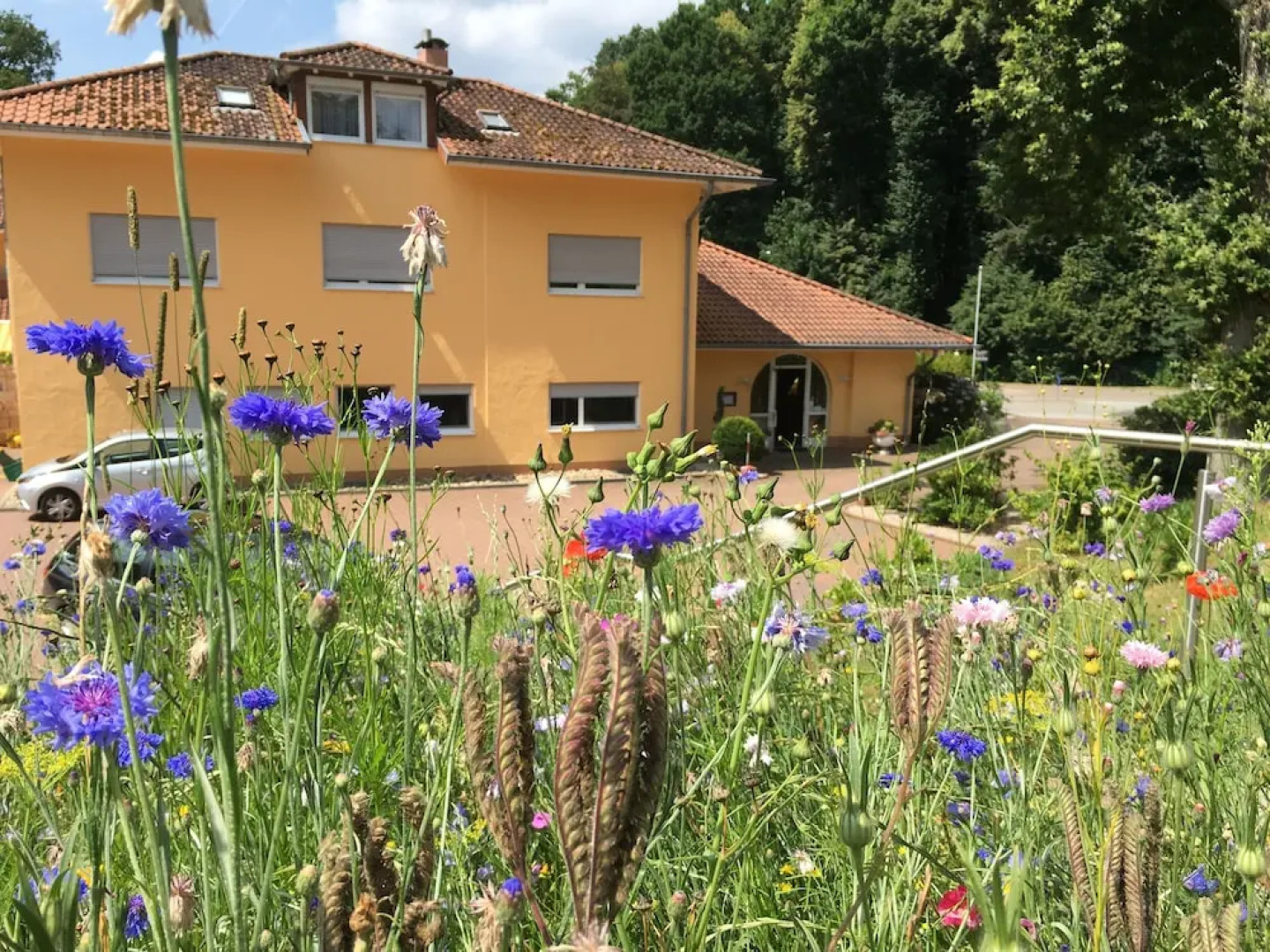 Hostellerie Bacher GmbH