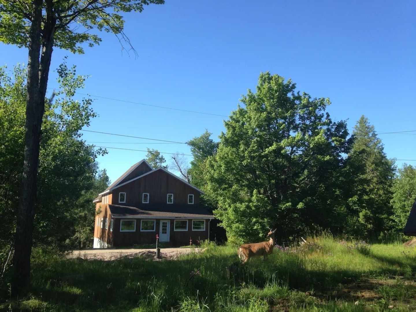 Warbler's Roost Country Inn B&B
