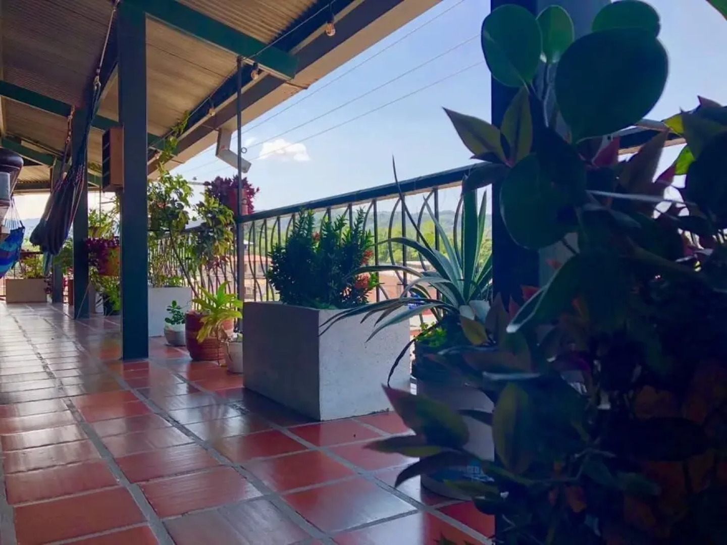 Hostel La Rosa Nautica