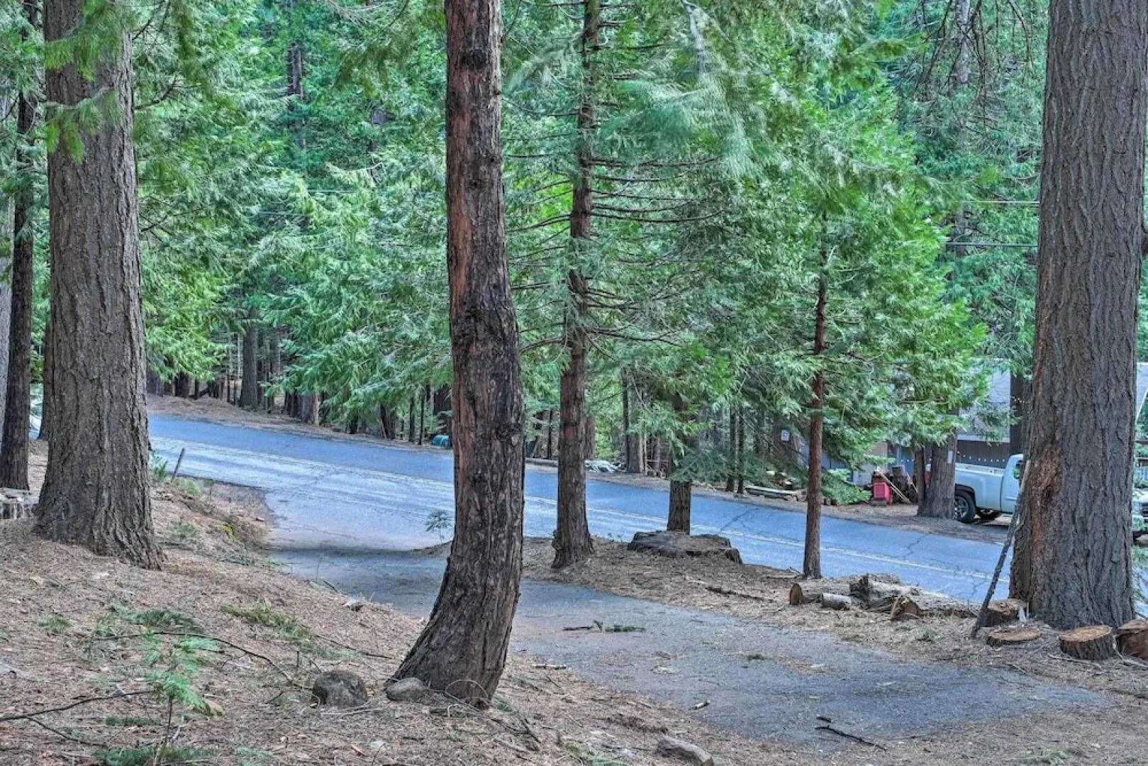 4 Mi to Big Tree State Park: Serene Cabin w/ Deck
