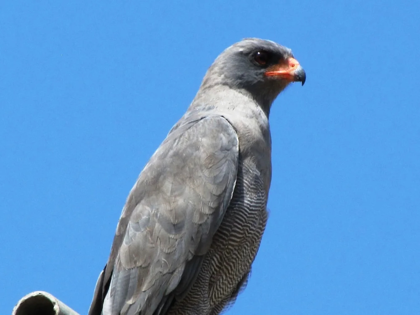 Umvangazi Rest - Enjoy a Relaxing, Rejuvenating and Peaceful Setting in the Bush