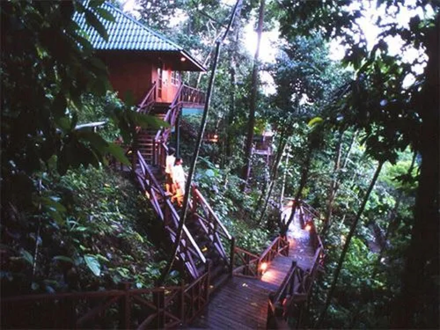 Tabin Wildlife Resort