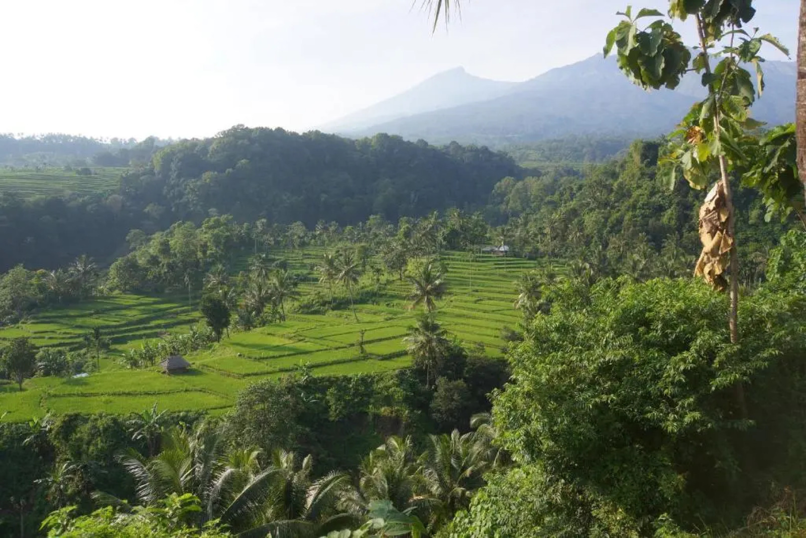 Horizon Senaru Villa