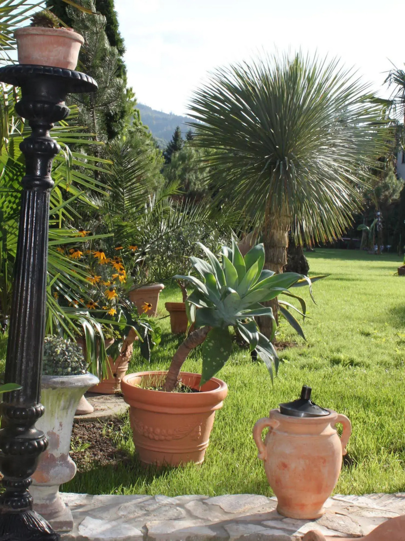 Hazienda Apartmenthotel