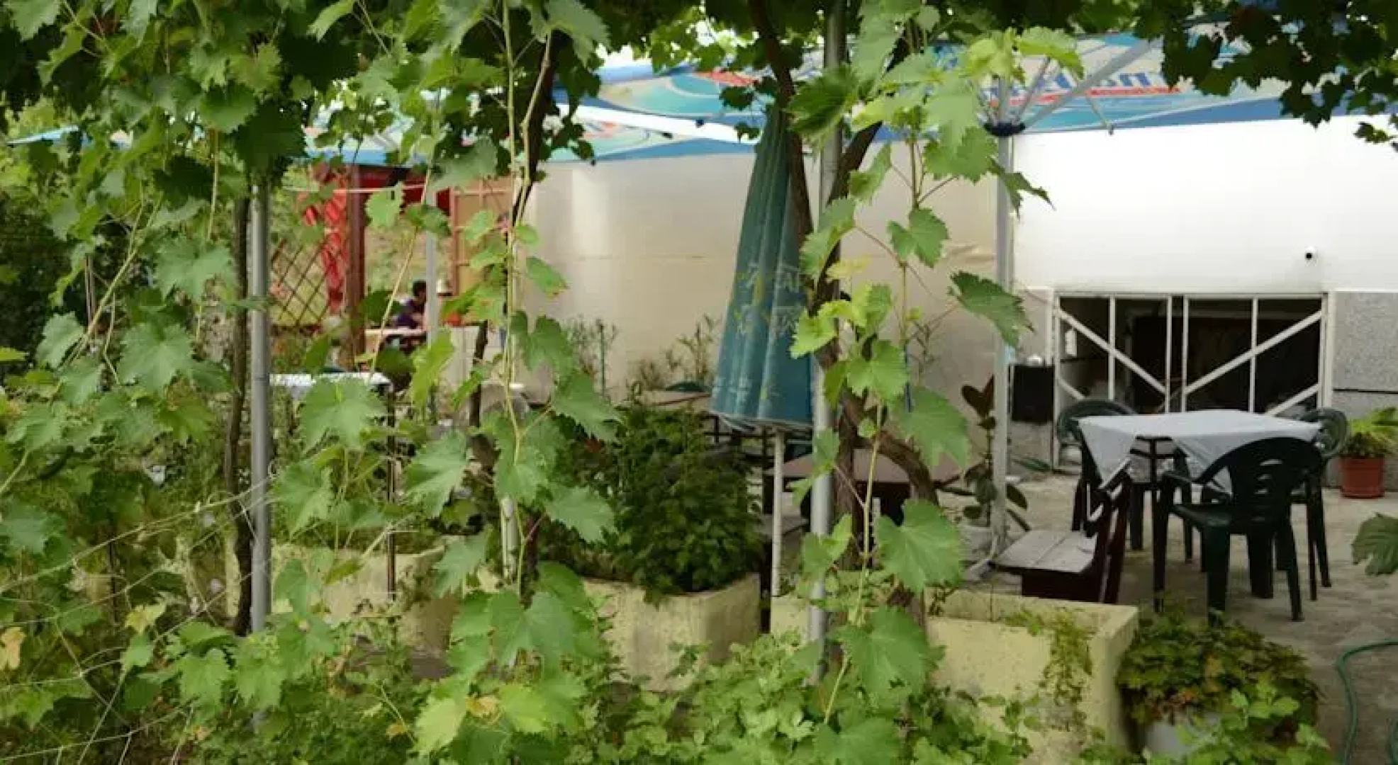 Galia Guest House