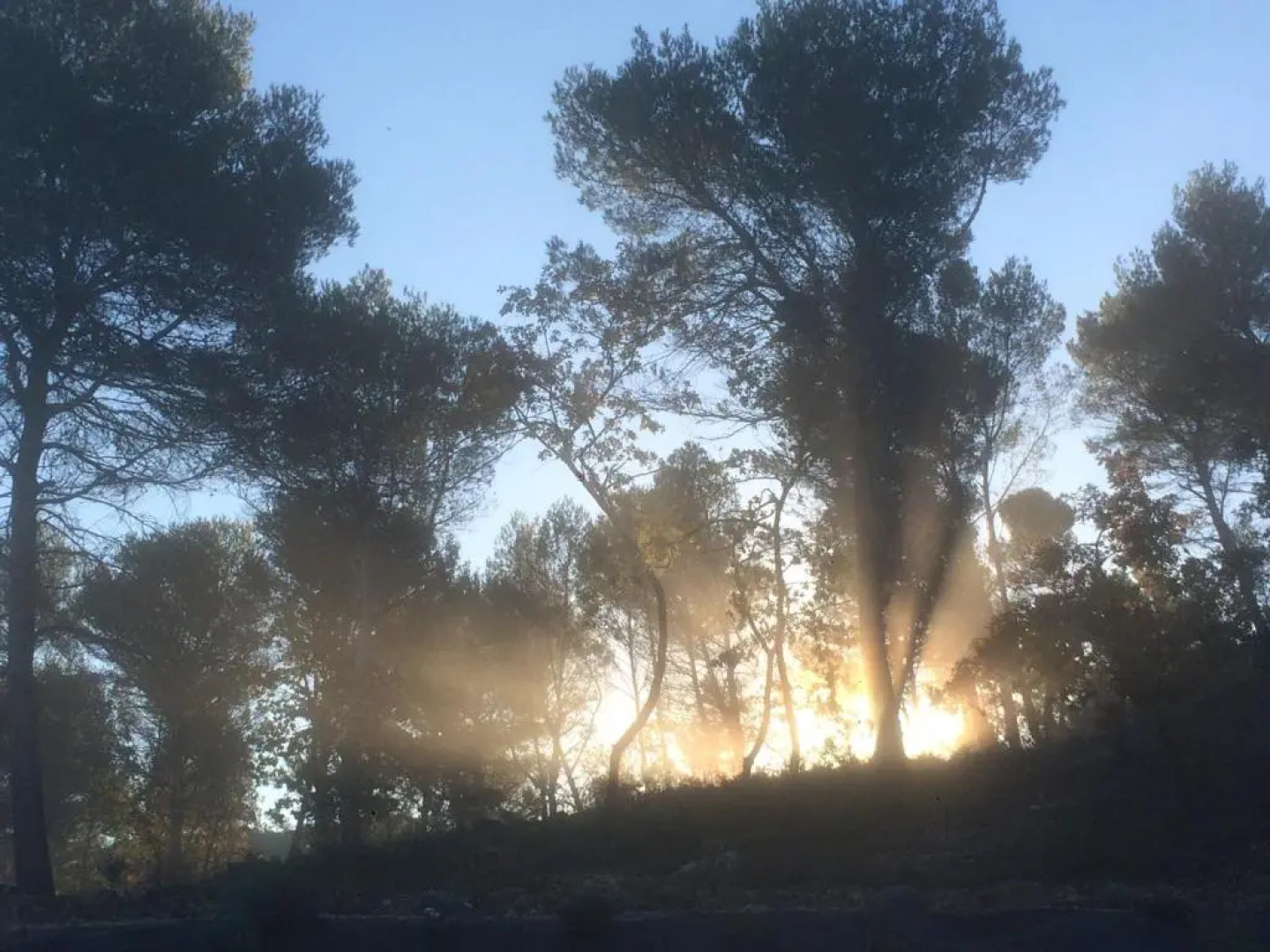 Appartement les Ecureuils