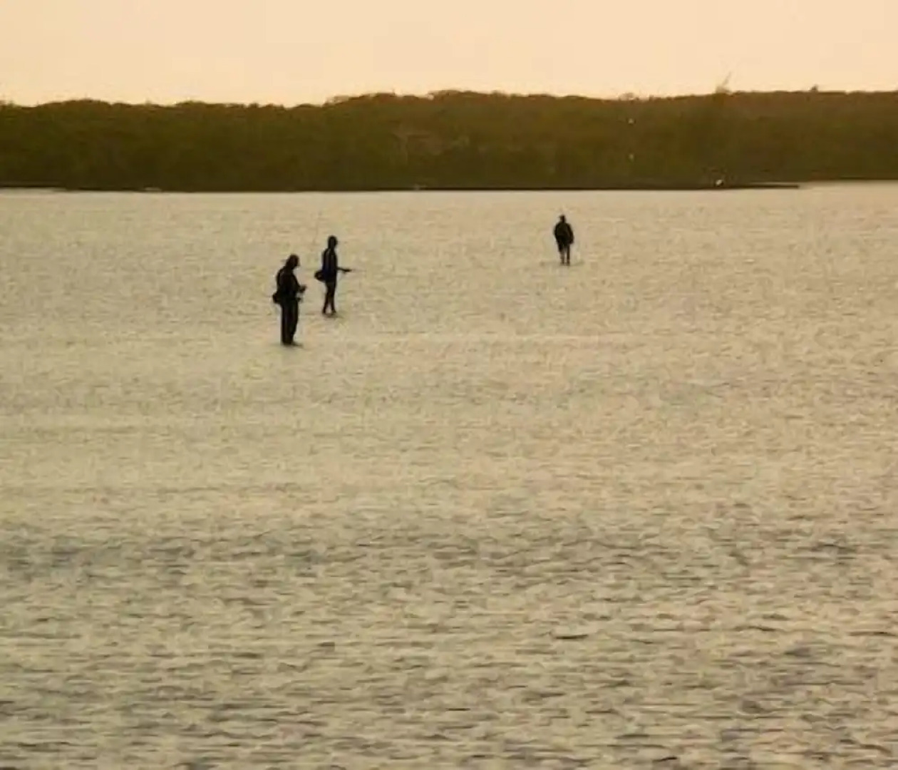 Chester's Highway Inn Bone Fish Lodge