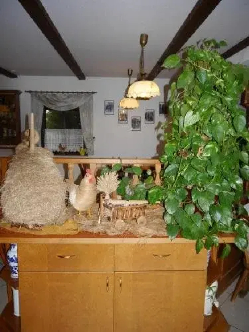 Hotel & Gasthof Zum Postkutscher