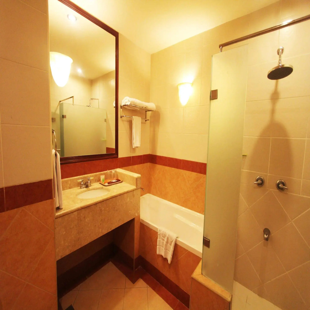 Sarrosa International Hotel and Residential Suites