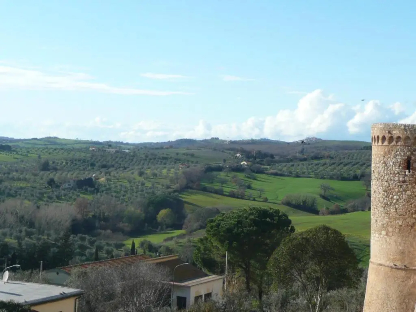 Artemisia negli ulivi B&B