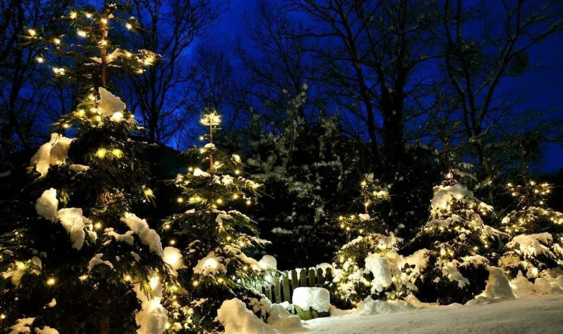 Park Hotel Il Poggio