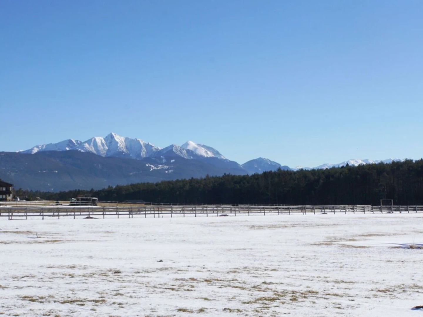 Mitzi Affenhausen in Affenhausen