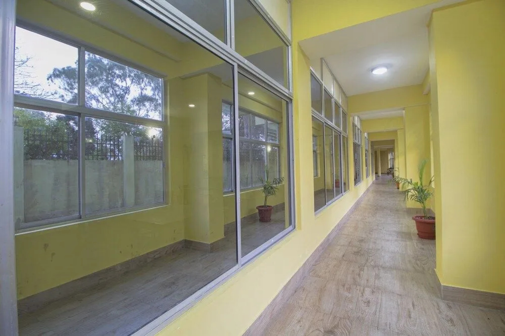 OYO 28084 Hotel Pangolin