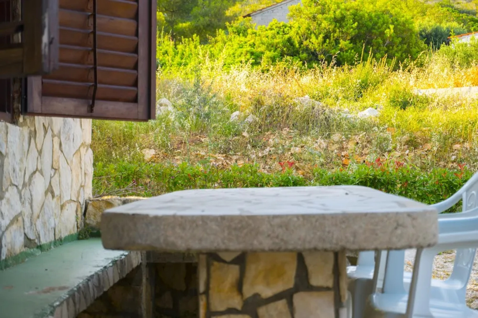 Victorious VIScovery Green