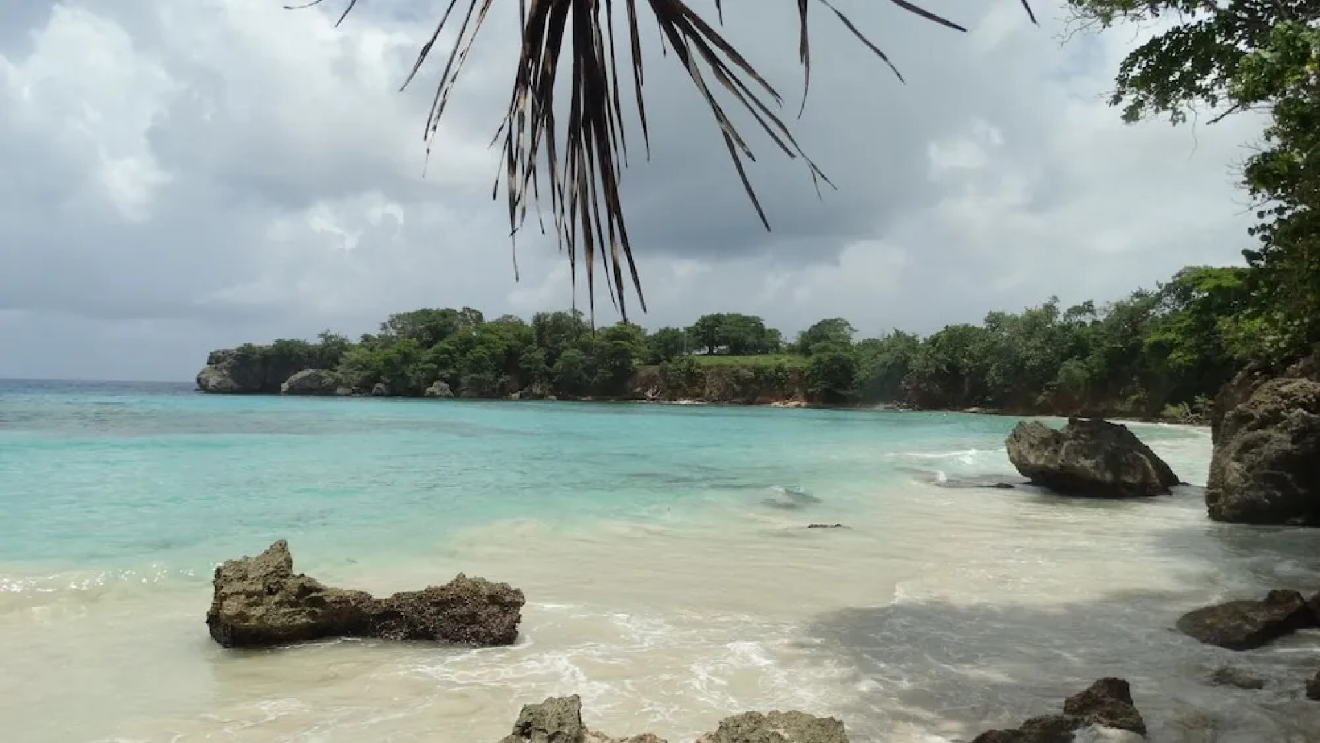 Hotel Jamaican Colors