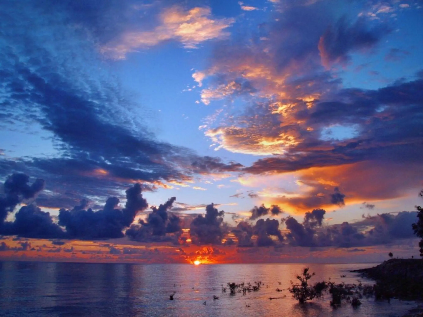 Apollo Jewel Beachfront Apartments