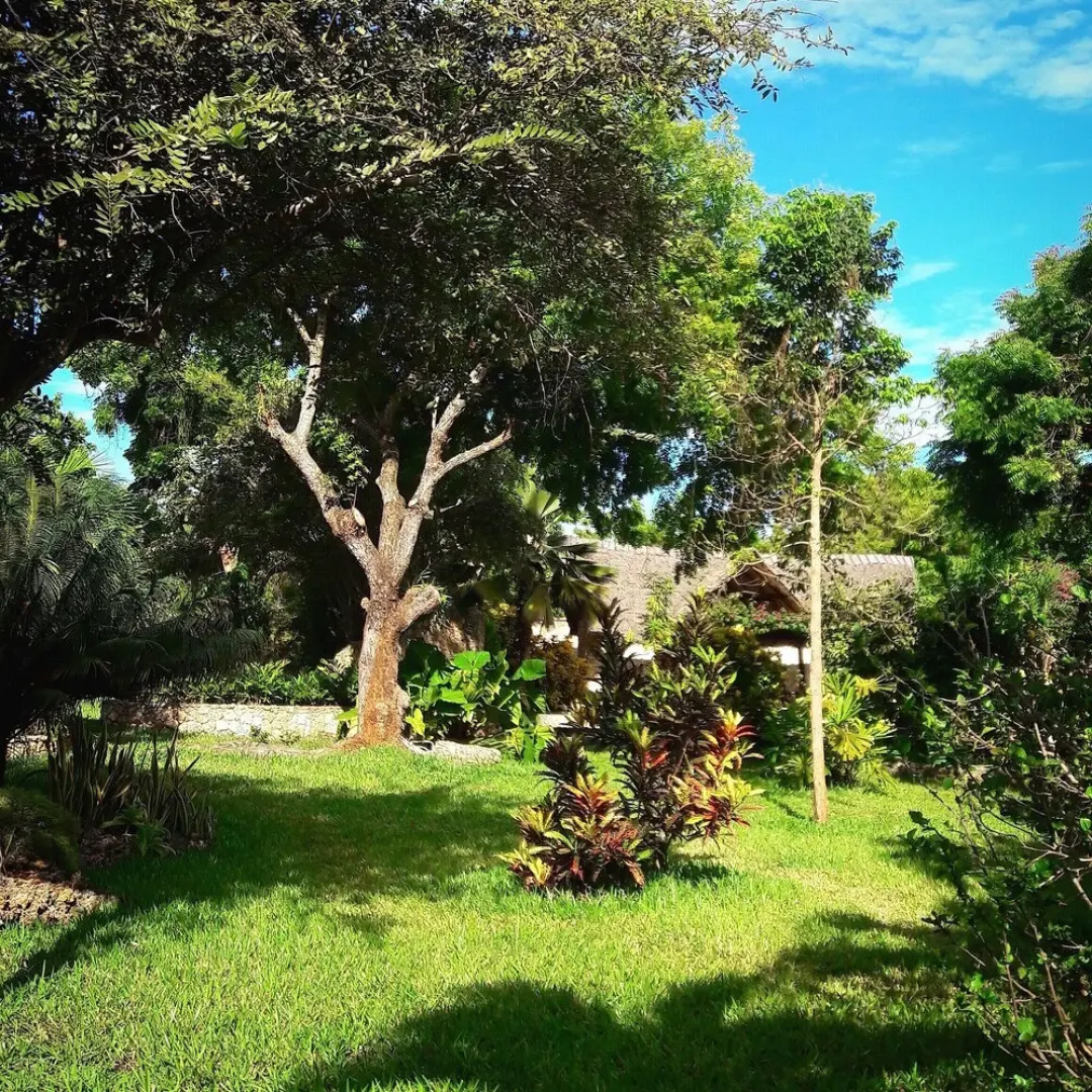 Tiwani Sunset, a Little Piece of Eden