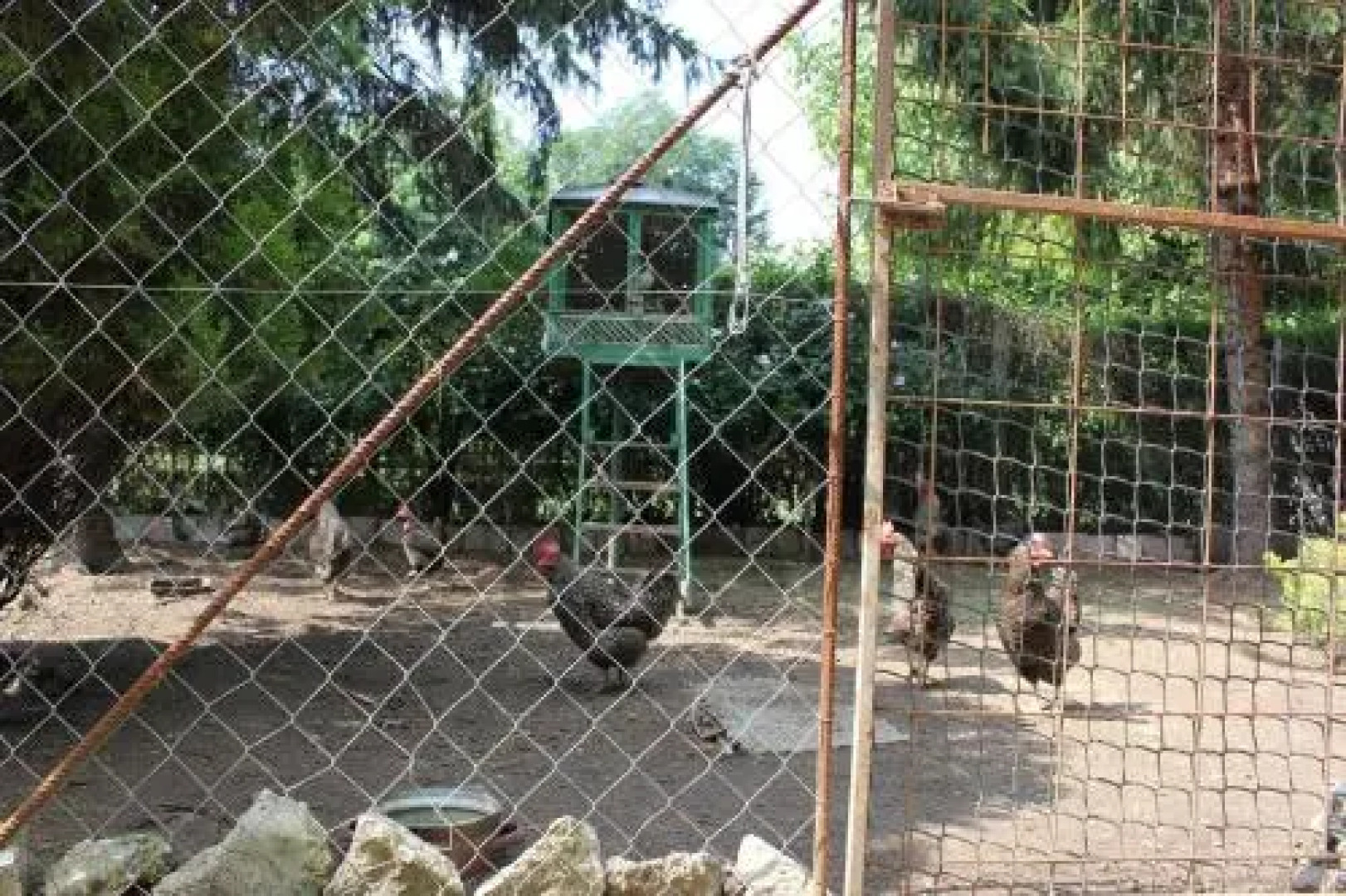 Napsugár Vendégház