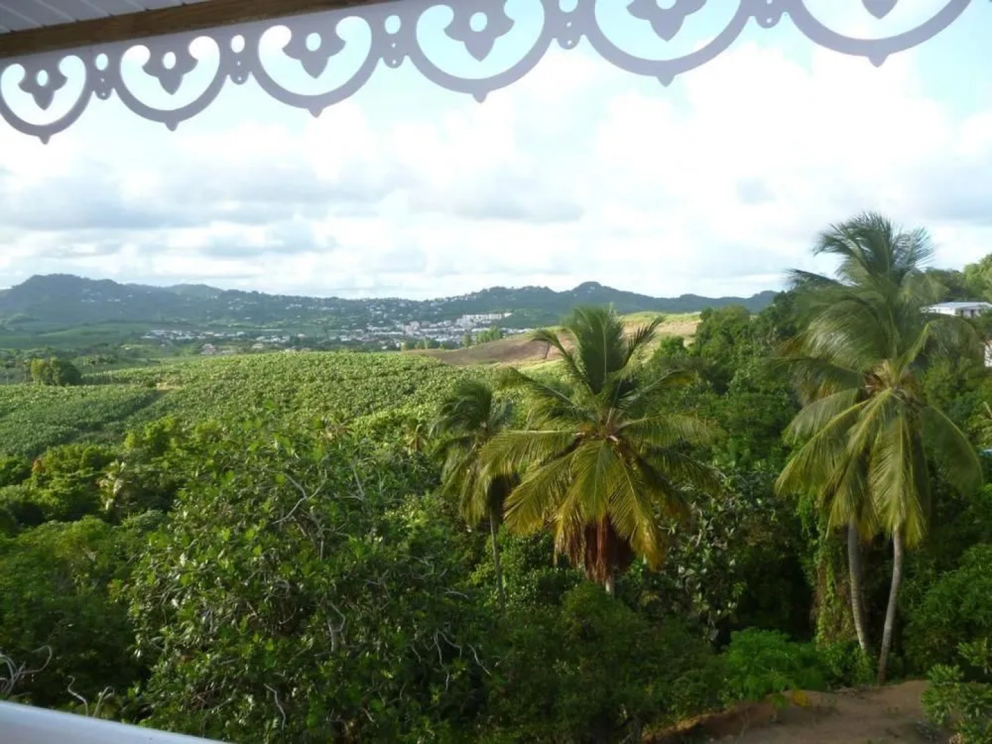 Rsidence Htelire le Moringa