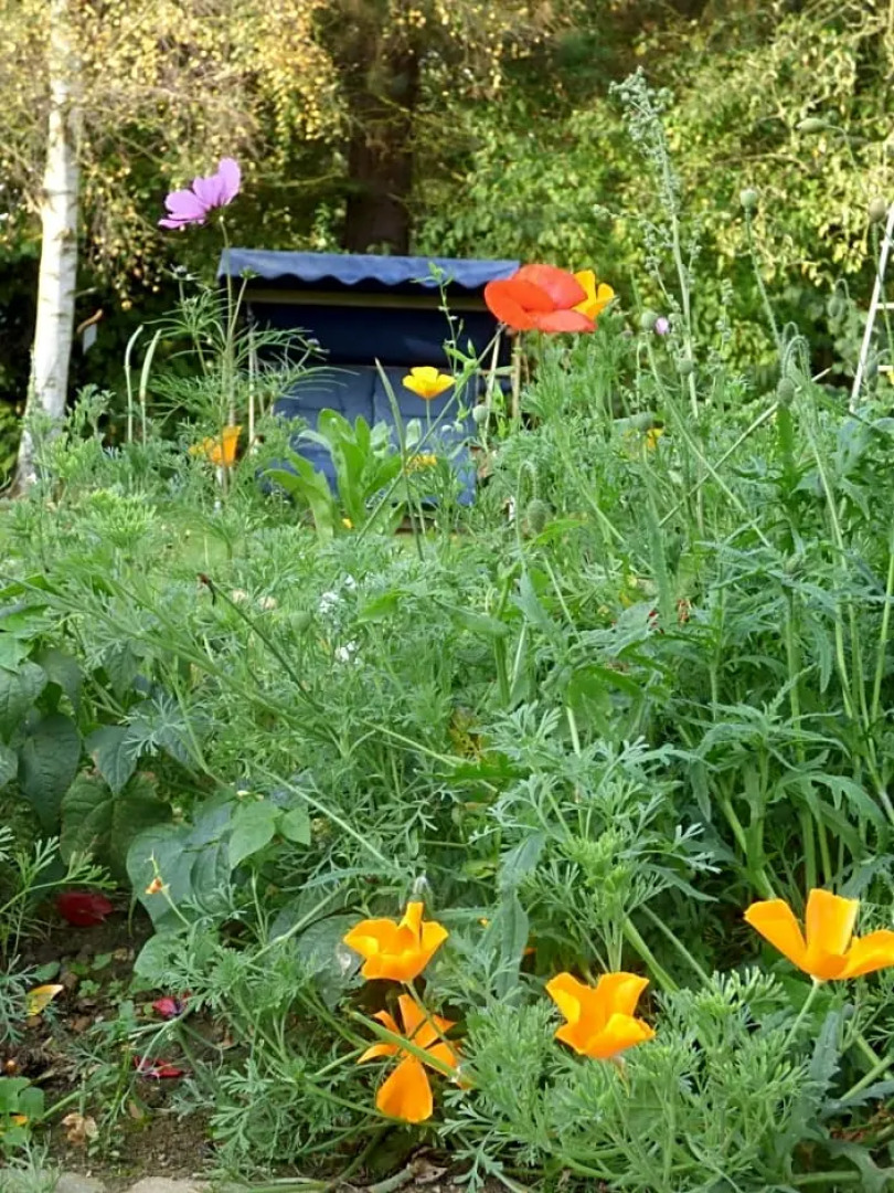 The Old Potting Shed