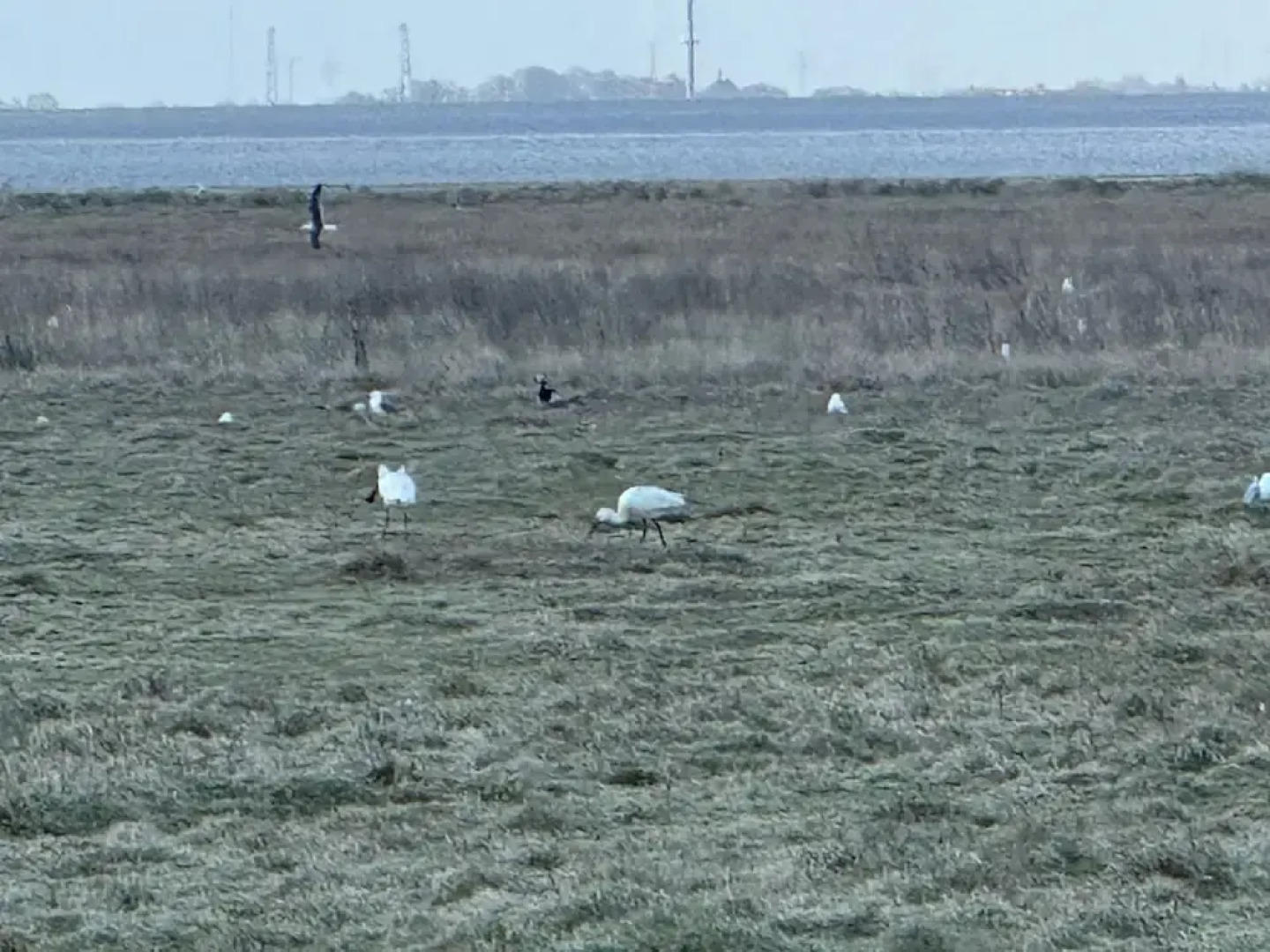 Apartments Fröhling