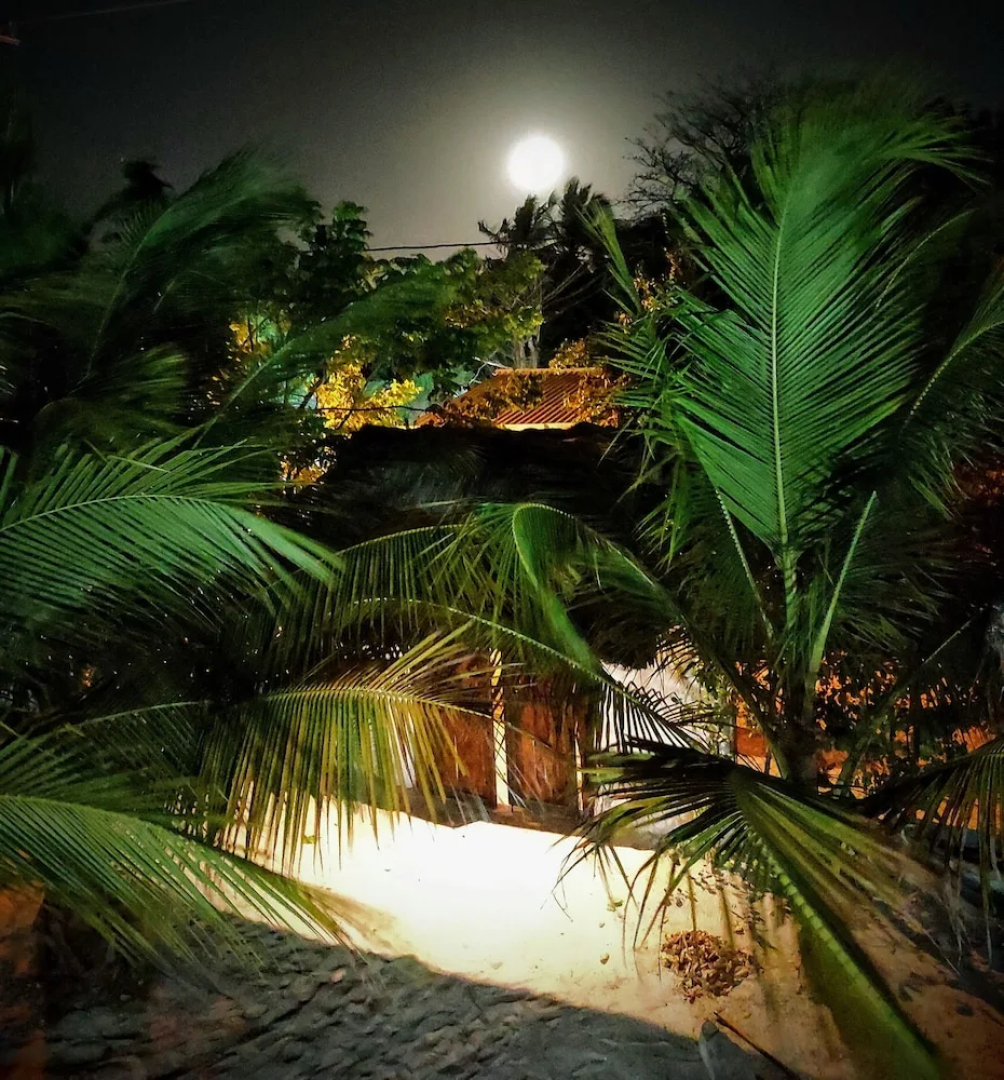 La Caracola Cartagena