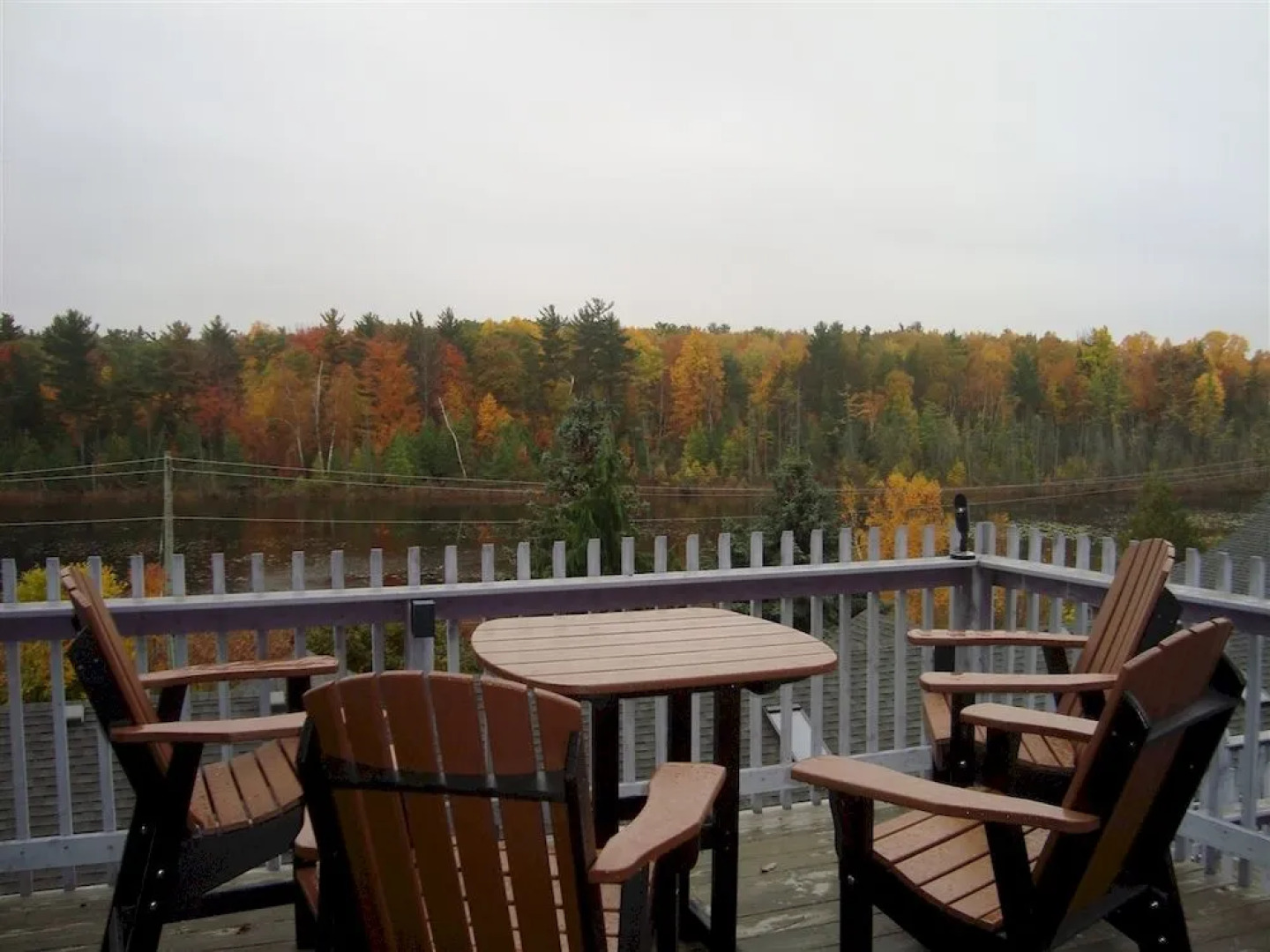 Bee 'n Bee Bed n' Breakfast