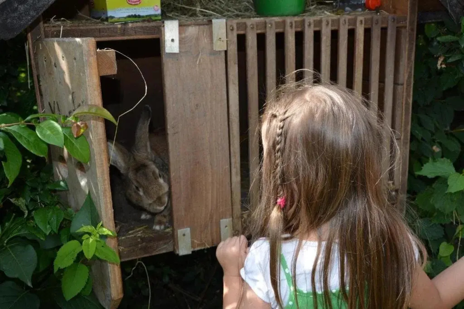 Ingrid und Josef Haunschmid