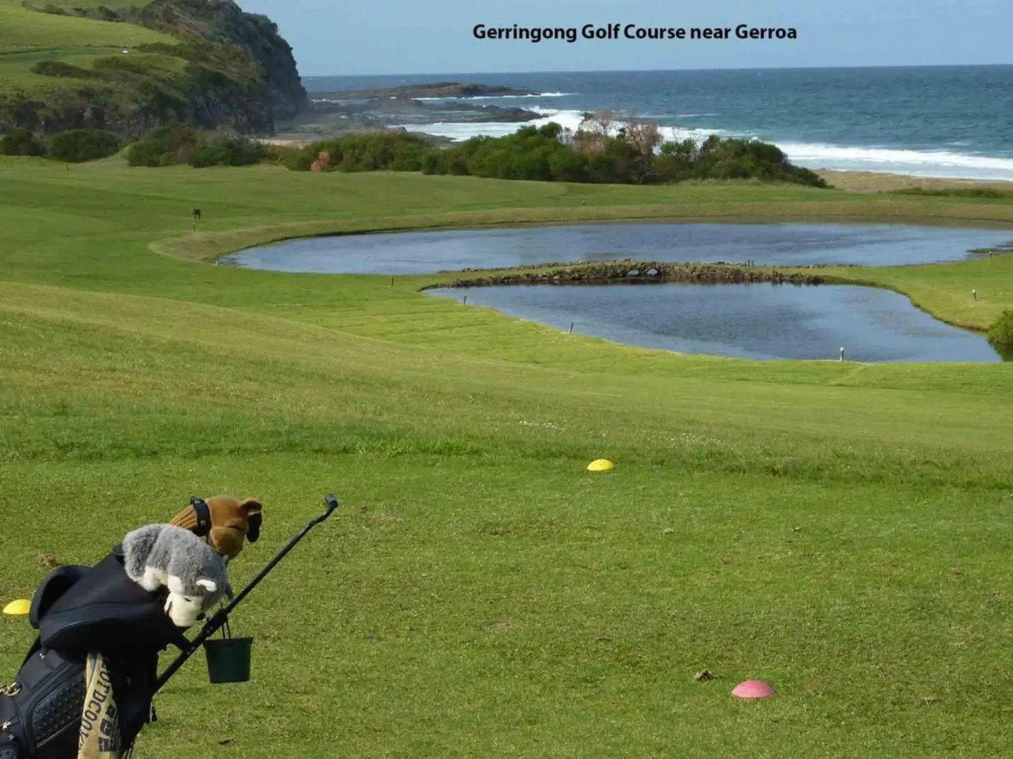 PINKOS Gerroa 4pm check out Sundays