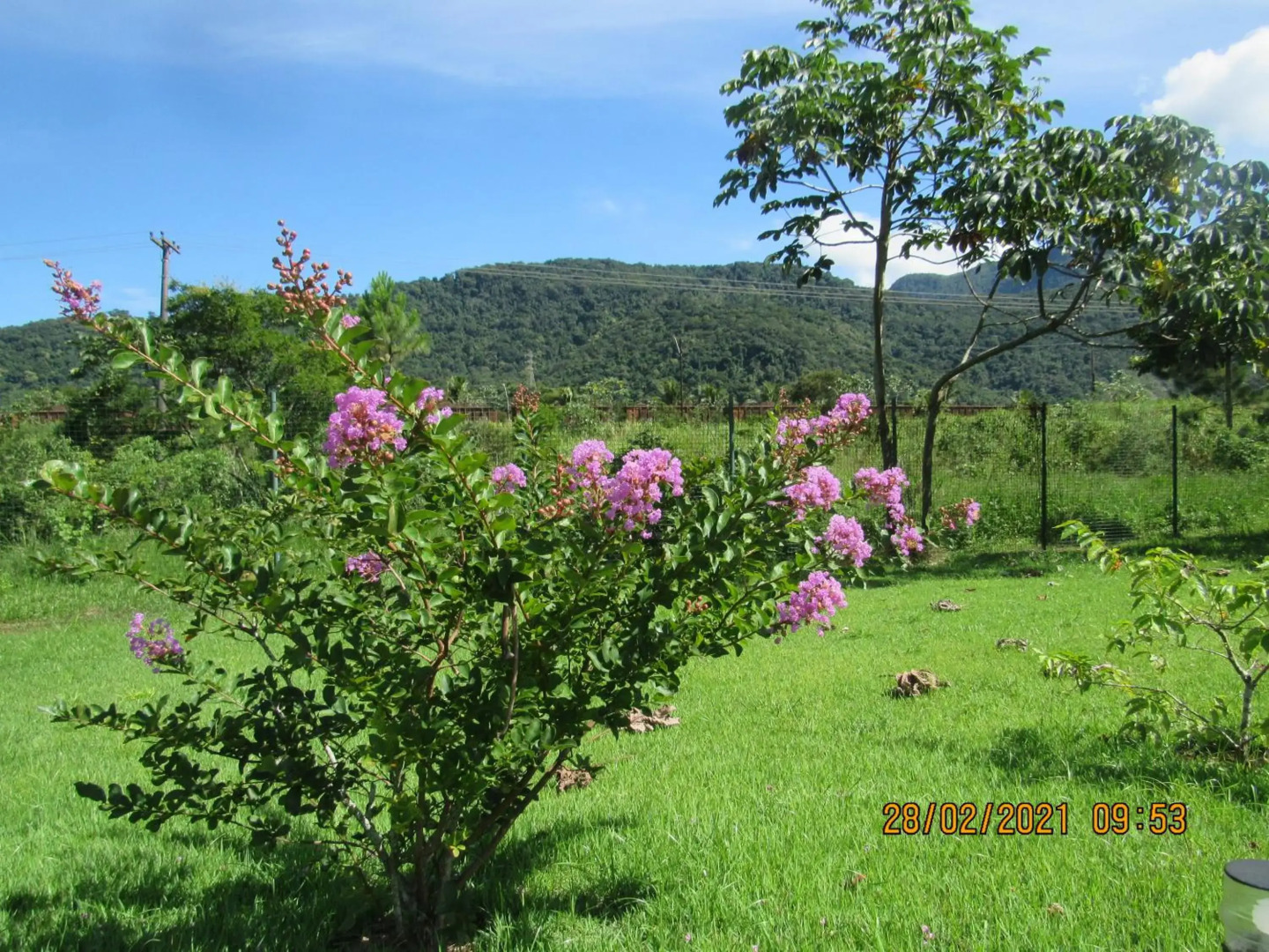 Sahy - Aldeia dos Reis, Condado - Apartamento Quarto e Sala