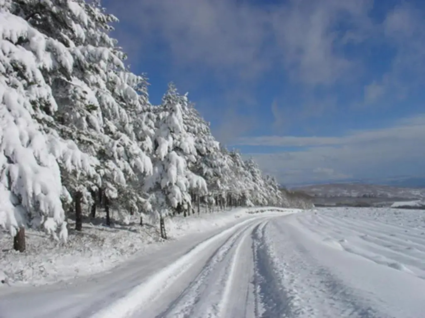 Quinta Dos Castanheiros - Turismo Rural