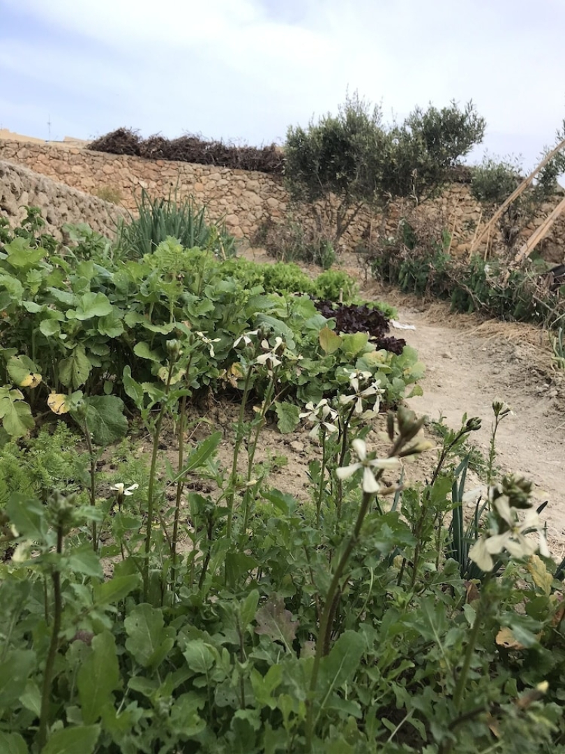 Dar il-Hena Organic B&B