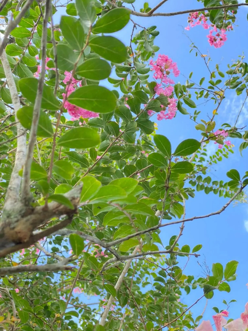 Grettel´s House Apartments, La Fortuna de San Carlos