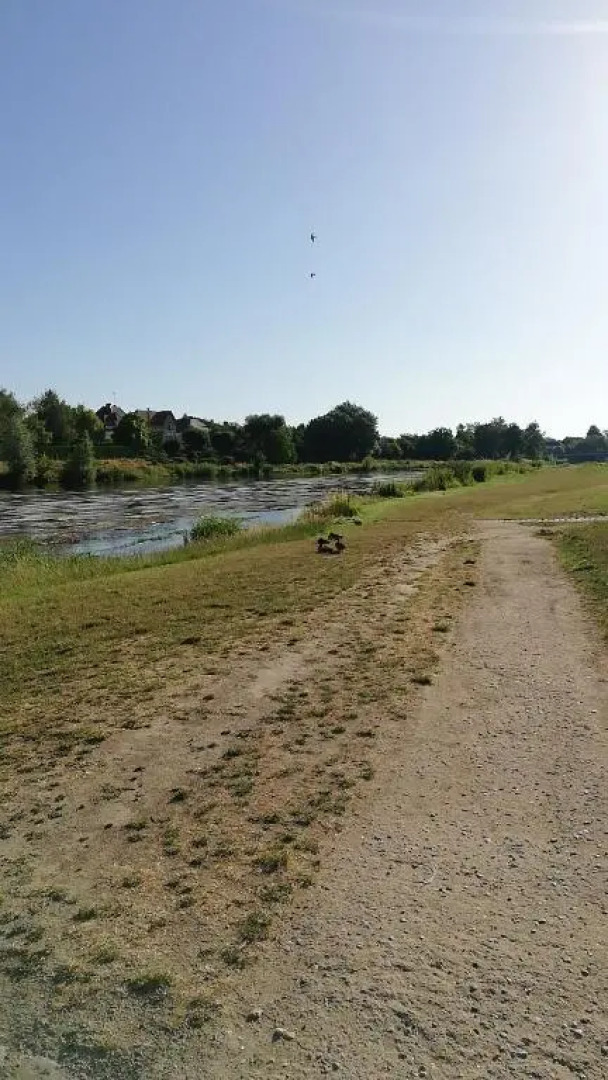 Gîte cosy la Mosaïque, à Selles-sur-Cher, 15 mn du zoo Beauval