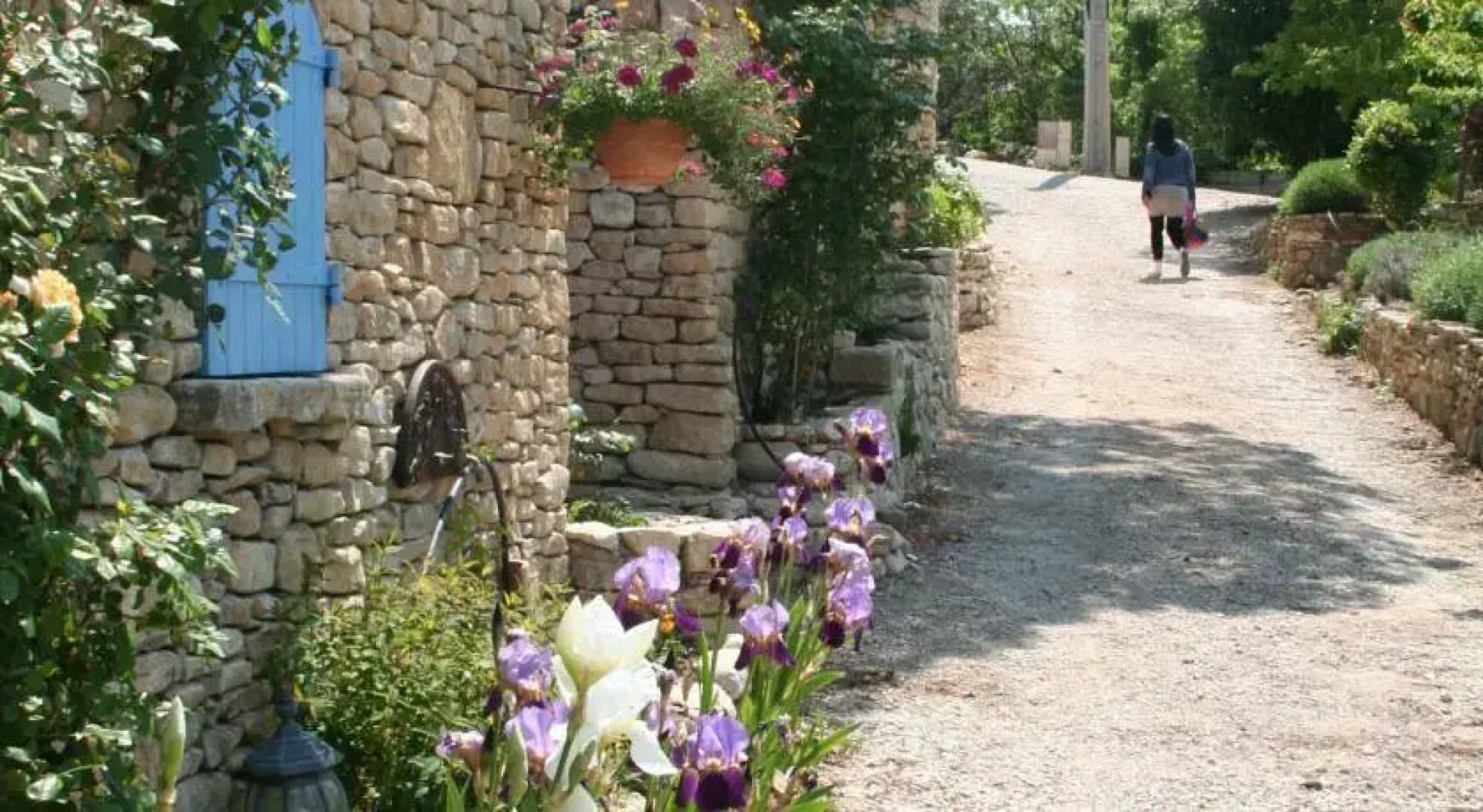 Le Petit Paradis en Provence