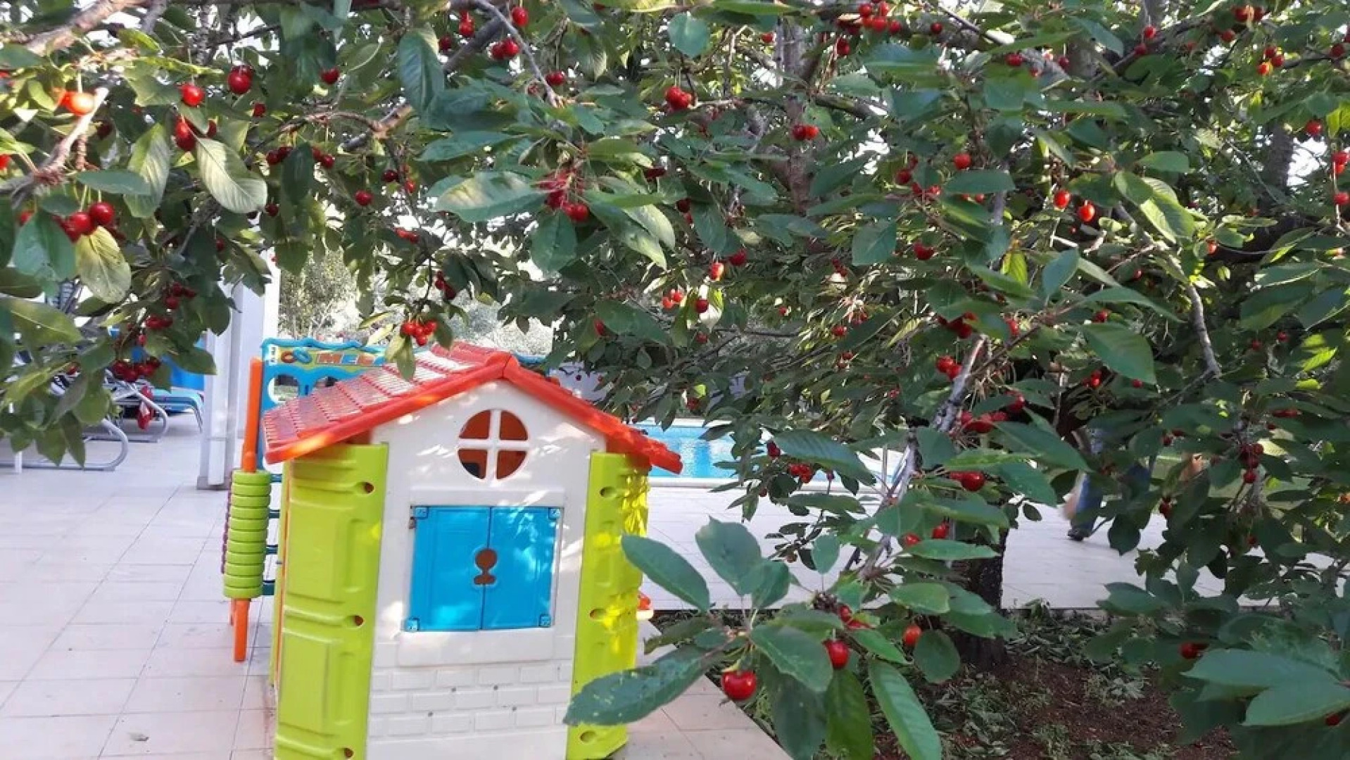 Viki - With Heated Pool - H