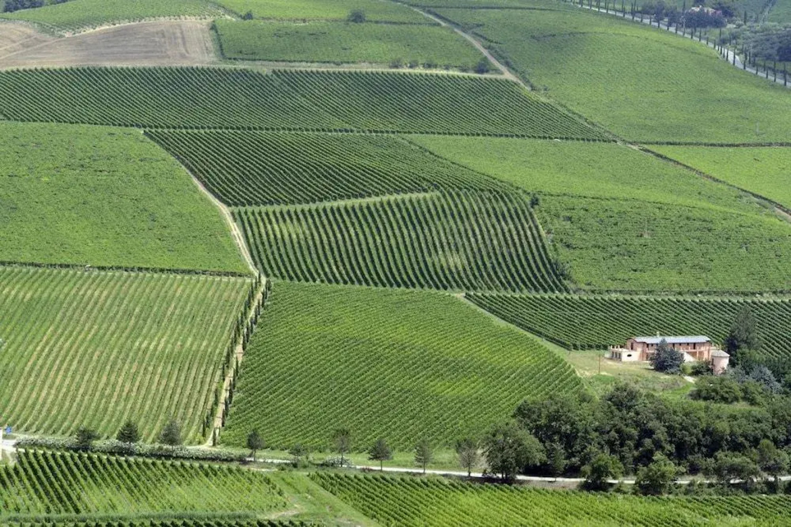 Agriturismo Contado San Lorenzo