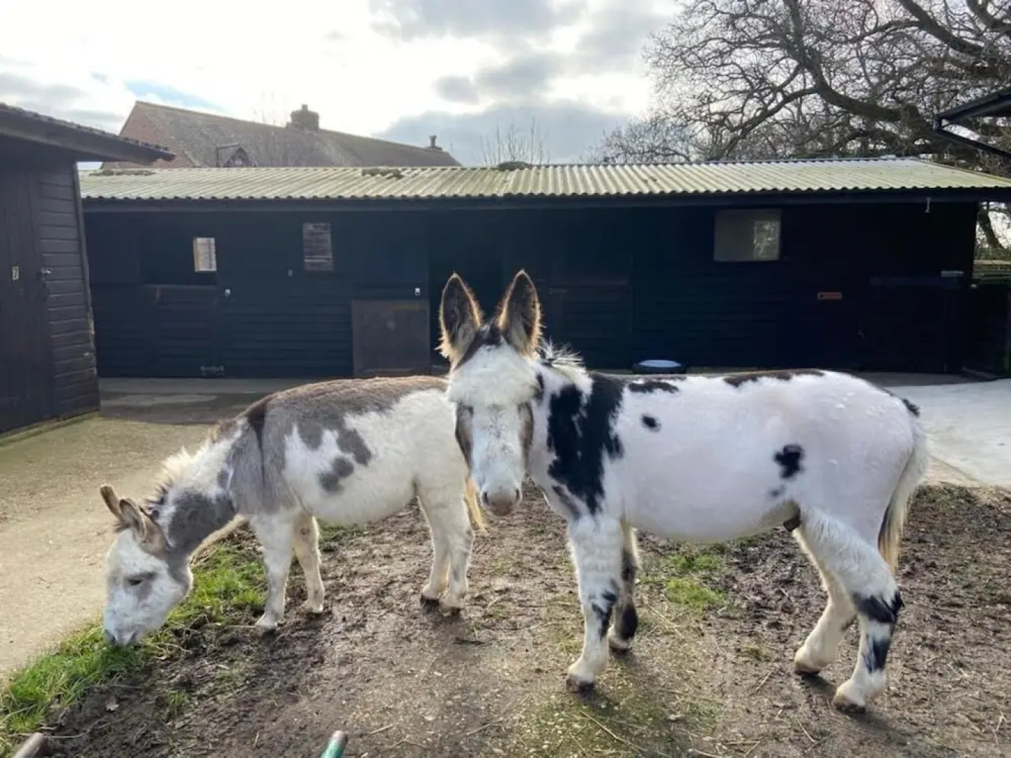 Tithe is a Stunning Barn Conversion Close to Ryde Sleeps 6