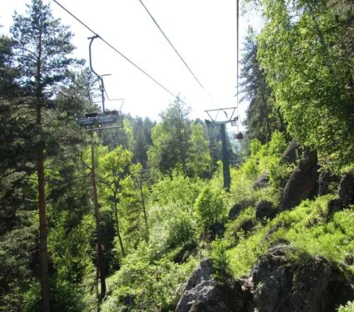 Green House at Teletskoye Lake