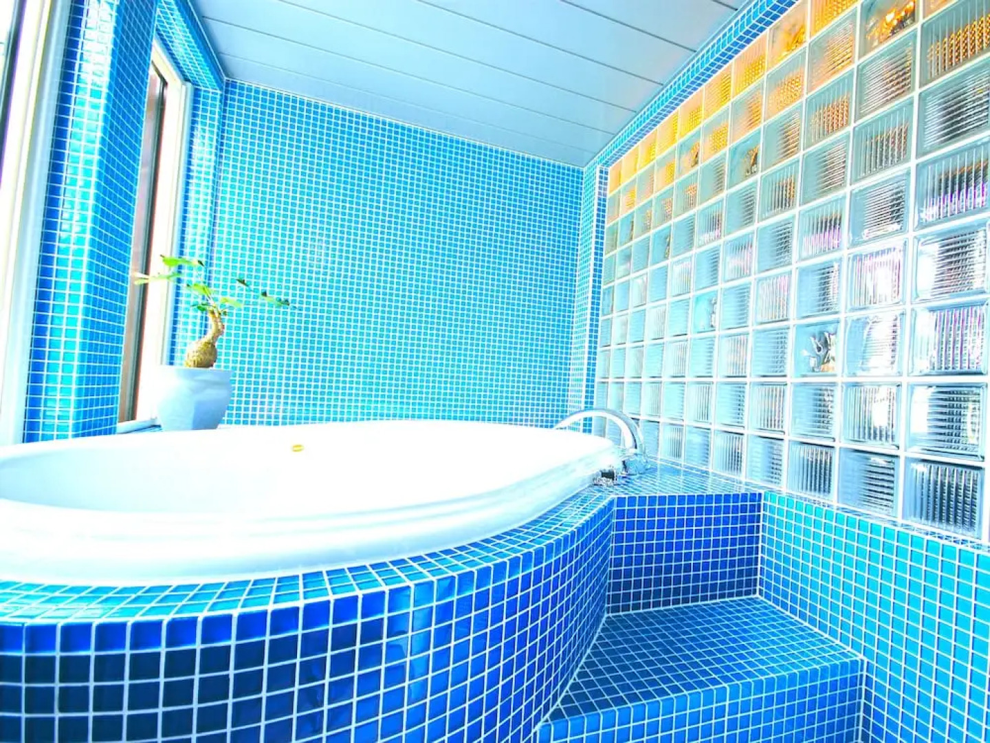 Natural Pension Pumpkin