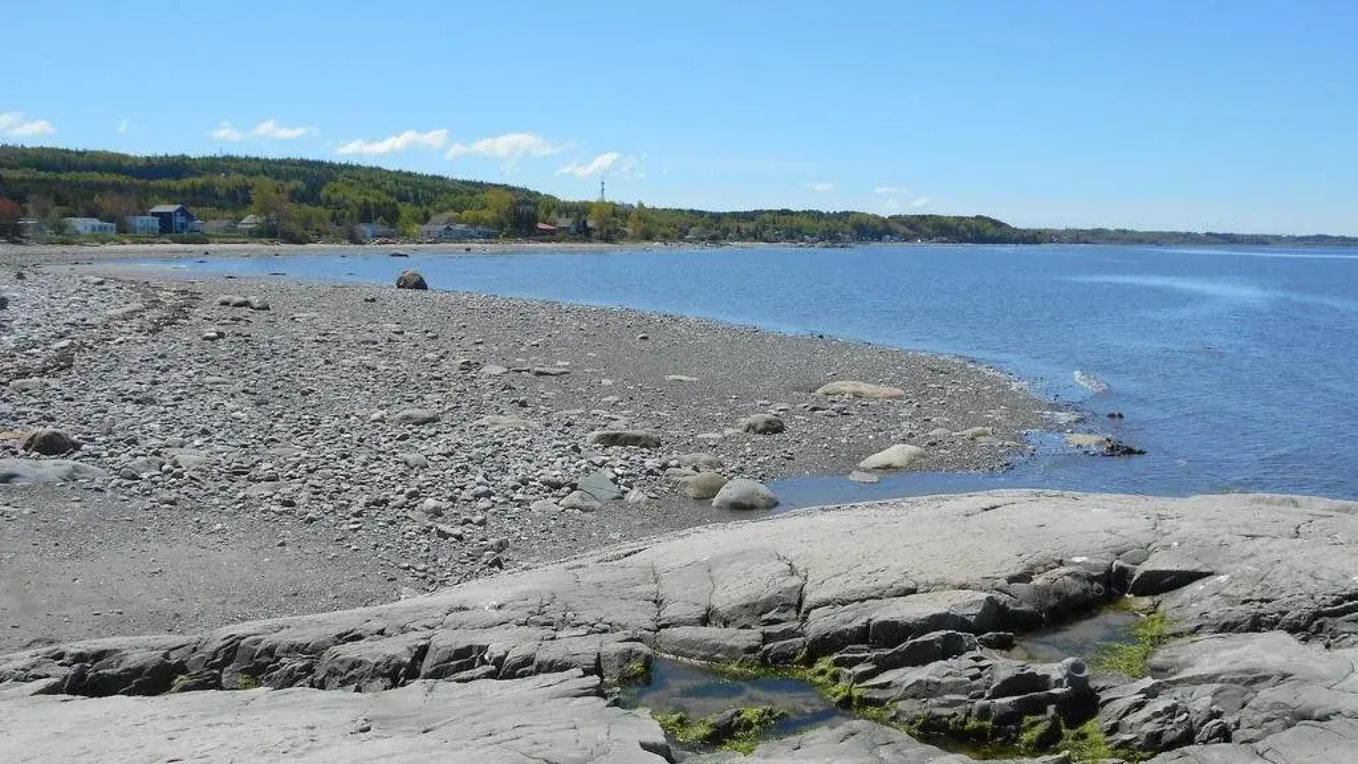 Gï¿½te Le Bouquet de marguerites