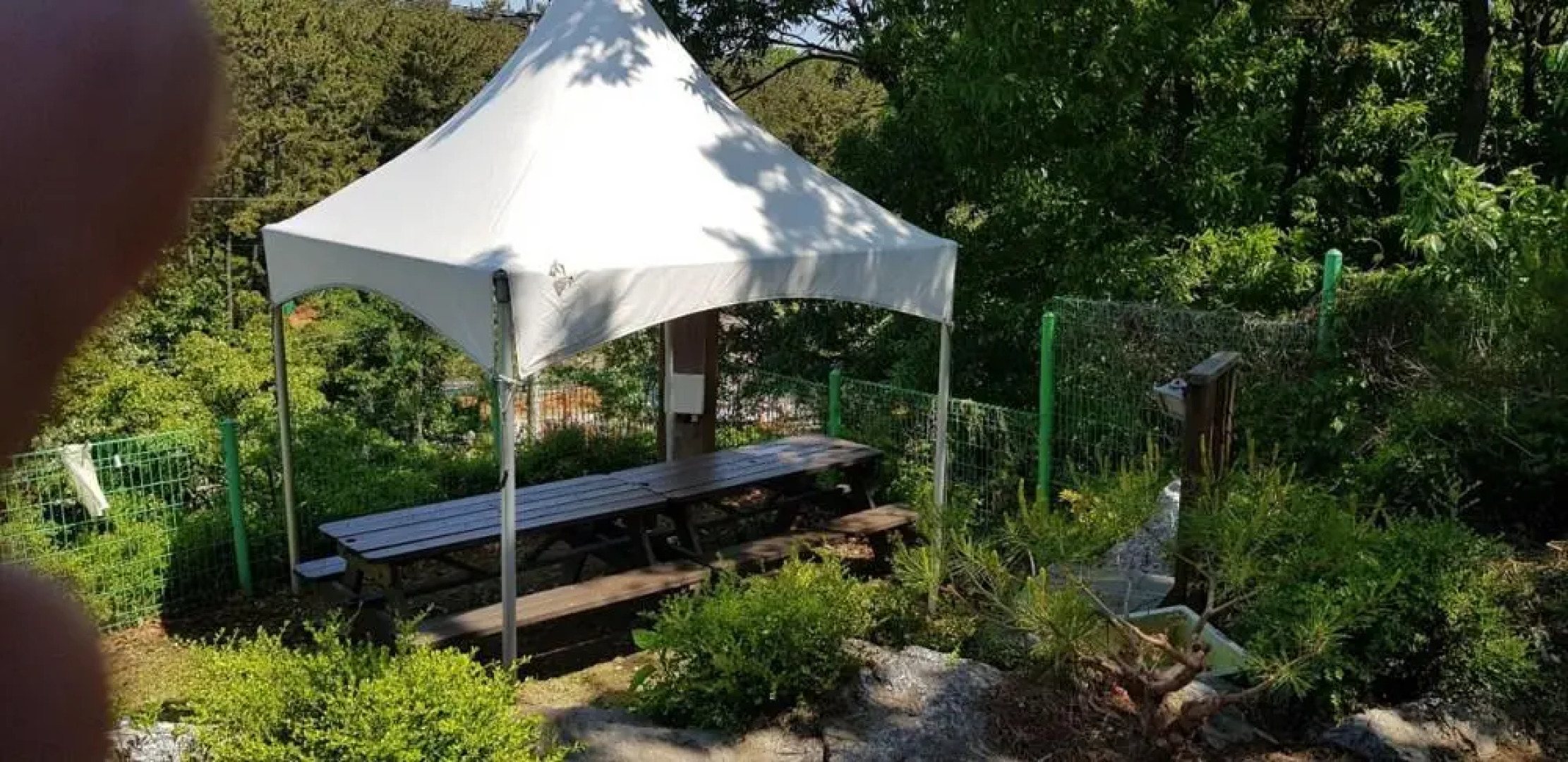 Sun and moon pension