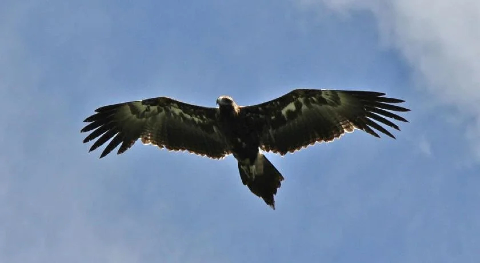 Highwood Park B&B Guest Lodge